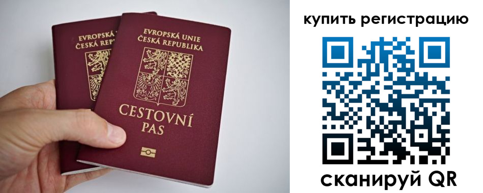 временная регистрация поиск в Котласе